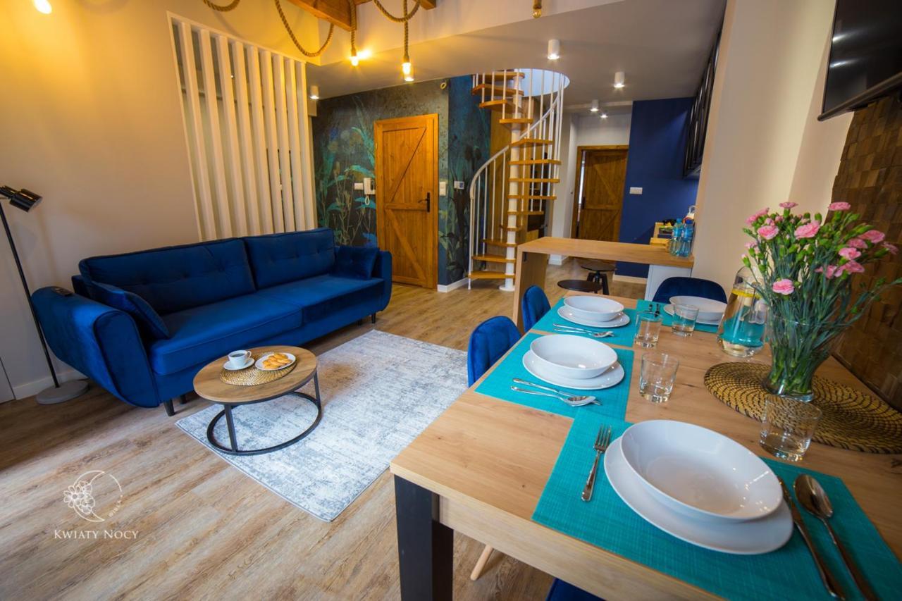 Apartamenty "Kwiaty Nocy" I "W Krainie Mchu" - فيسلا المظهر الخارجي الصورة